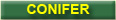 CONIFER