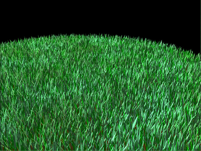 Grass Cover True 1